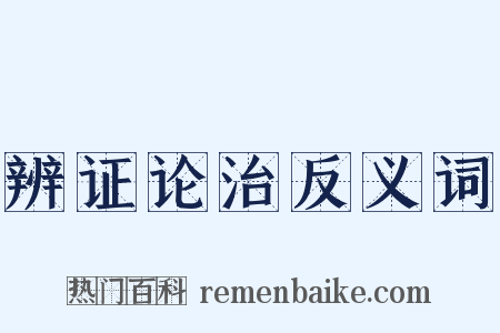 辨证论治反义词是什么意思的图片